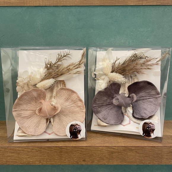 【신작】후비란 헤어클립 세트