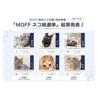 Moff猫总选举(预选)结果发表