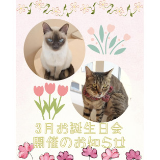 【 3月お誕生日会のお知らせ 】