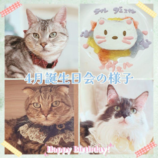 4月お誕生日会の様子♪