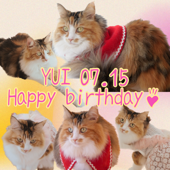 Happy birthday ゆい★