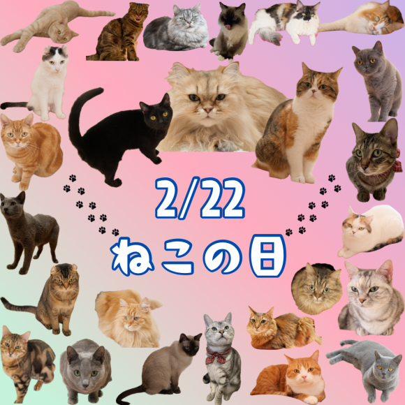 ♡2月22日は猫の日♡