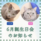 【 ６月お誕生日会 開催のお知らせ 】