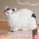 \  Happy Birthday ウォルト /