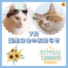 お誕生日会のお知らせ