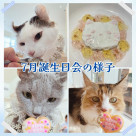 【 7月お誕生日会 開催の様子 】
