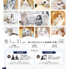 第4回「 MOFF ネコ総選挙」の本選開催