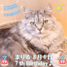まりるくんのお誕生日！