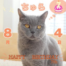 \ Happy Birthday ちゅら /