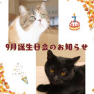 9月の誕生日会のお知らせ