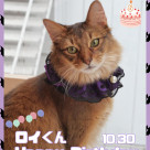 ★ Happy birthday ロイ ★