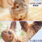 [ข้อมูลร้างใหม่]