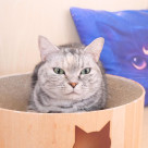 運動神経抜群な のあちゃん❤︎