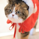 ⭐︎クリスマスイベント開催中⭐︎