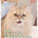 ❤︎Happy birthdayふじこ❤︎