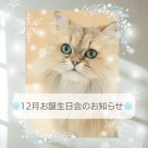 12月誕生日会お知らせ