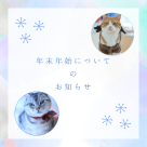 [New Year's Holiday Business Announcement]