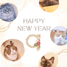 あけましておめでとうございます！！