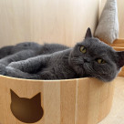 癒し系のシュシュちゃん♡