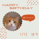 happy birthday はちくん♡
