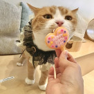 1月お誕生日会の様子