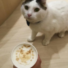 バレンタイン＆猫の日♡限定ラテアートのお知らせ