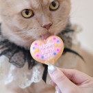 2月お誕生日会の様子