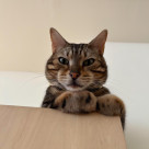 運動神経抜群のラウンくん⭐︎