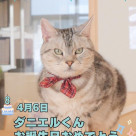 \\ Happy birthday ダニエル //