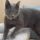 スタイル抜群なしんかくん⭐︎