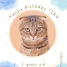 ＼Happy Birthday テル!!／