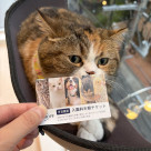 あと5日で配布終了です！