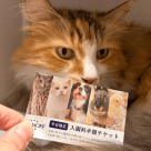 あと4日で配布終了です！