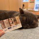 あと3日で配布終了です！