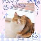 ゆいちゃん8歳のお誕生日でした⭐︎