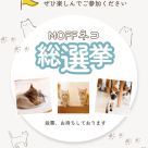 ネコ総選挙のお知らせ★