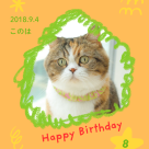 今日はこのはちゃんのお誕生日です♡