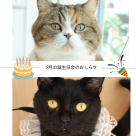 9月のお誕生日会⭐︎
