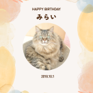 みらいちゃん8歳のお誕生日です!