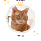 らんくくんのお誕生日です♪