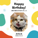 あくあhappy birthday♡