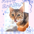 HAPPY BIRTHDAY!!
