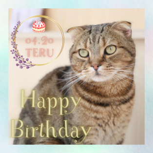 ♢♦︎ Happy Birthday Teru ♢♦︎