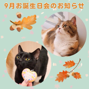 ★9月生日会的通知★