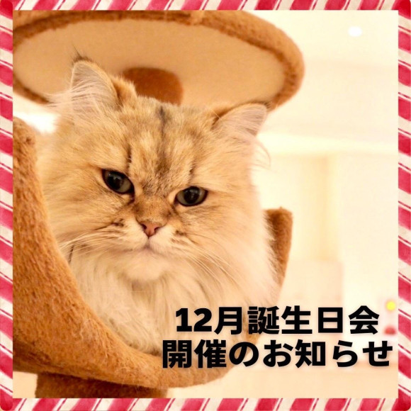 ✿　12月お誕生日会　✿