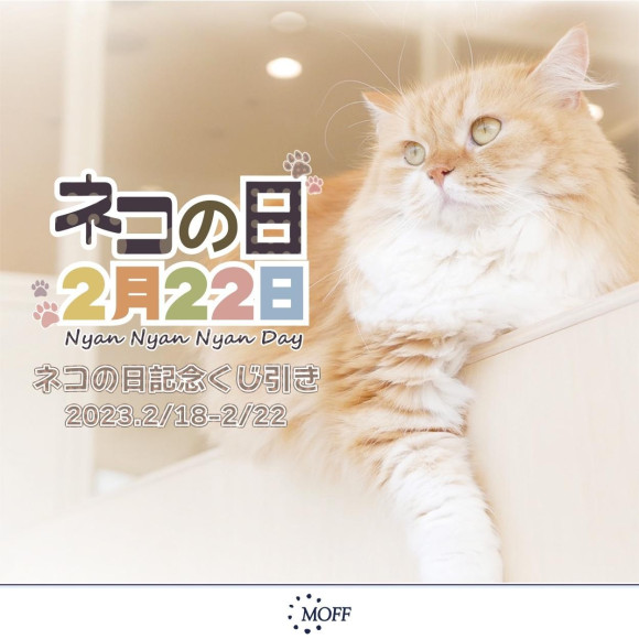 《ネコの日イベント情報》