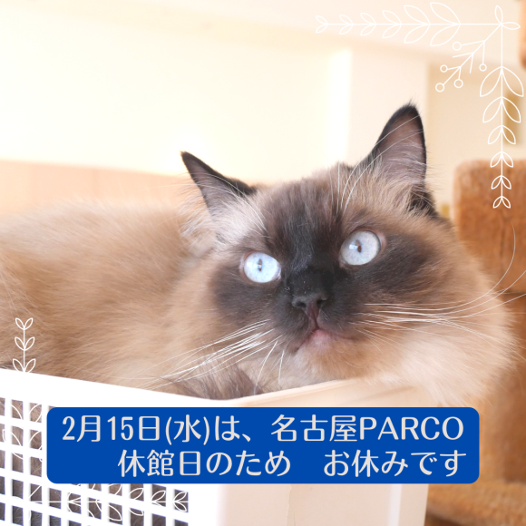 休館日のお知らせ