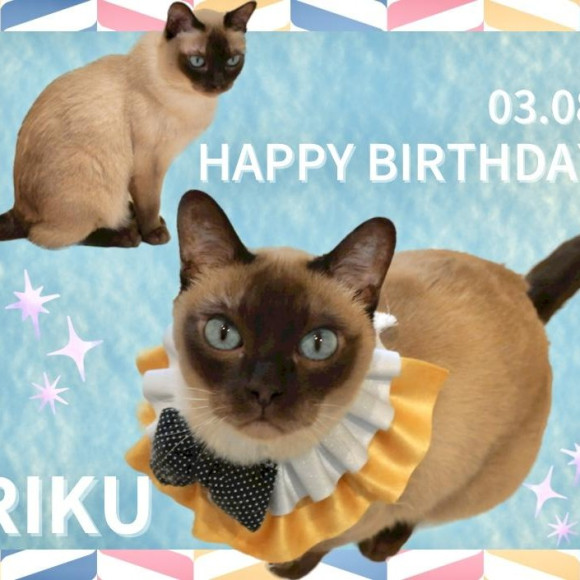 Happy birthday〜♡