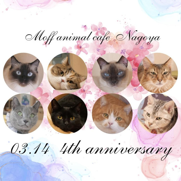 4周年のお知らせ