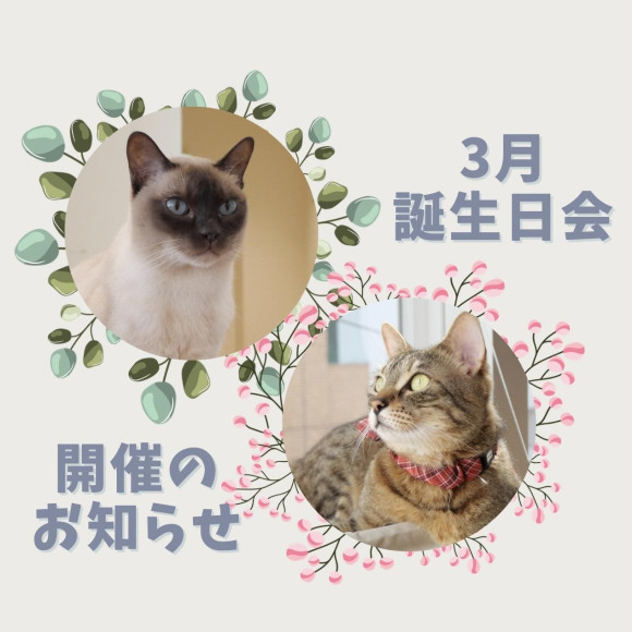 誕生日イベントのお知らせ
